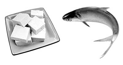 营养是搭配出来的 鱼和豆腐一起吃最补钙(图)-
